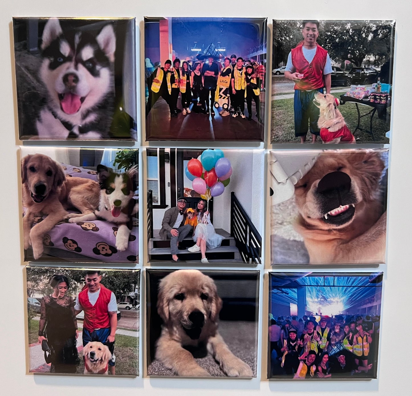 Collage of photo magnets featuring people and dogs in various settings.