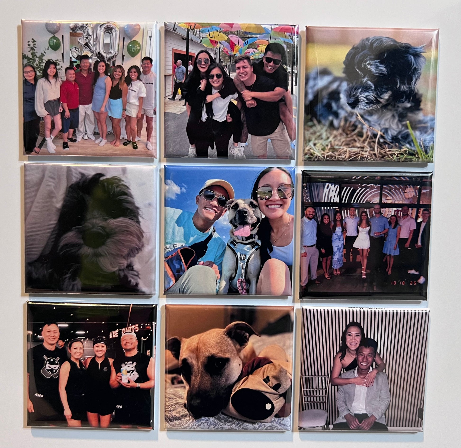 Collage of various photo magnets including people and pets on a white background